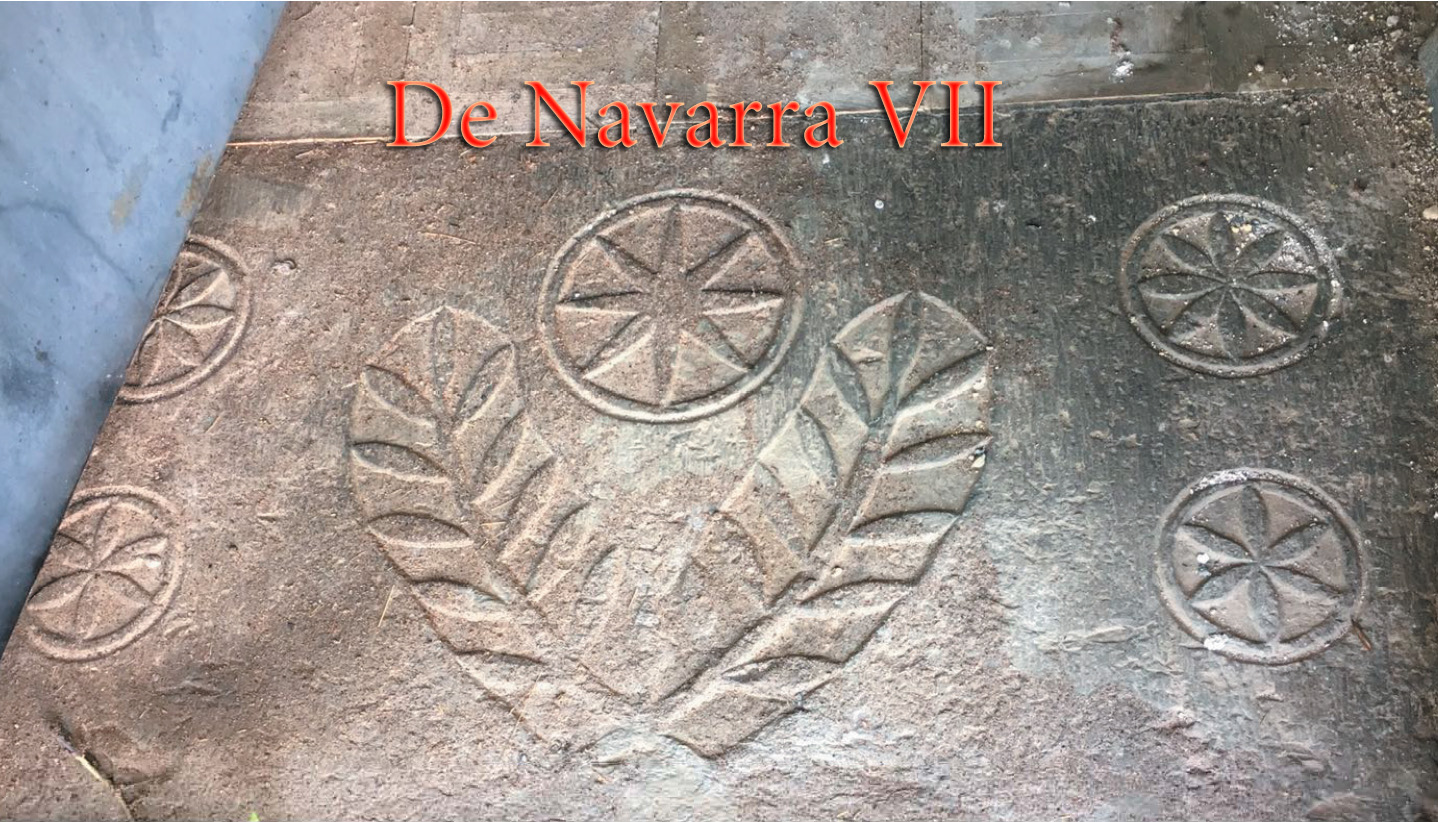 De Navarra VII- Los Navar